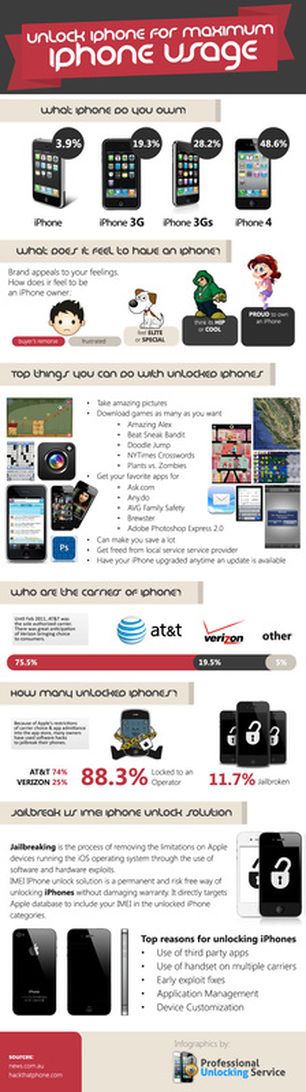 UnlockiPhone4Professor Infographic